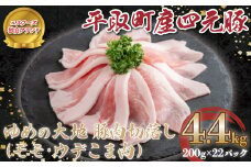 【平取町産四元豚】ゆめの大地豚肉切落し（ﾓﾓ・ｳﾃﾞこま肉）200g×22パック計4.4ｋｇ ふるさと納税 人気 おすすめ ランキング 豚肉 肉 豚肉切り落とし 北海道 平取町 送料無料 BRTD003