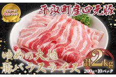 【平取町産四元豚】ゆめの大地豚バラスライス　200g×10パック計2ｋｇ ふるさと納税 人気 おすすめ ランキング 豚肉 肉 豚バラ 北海道 平取町 送料無料 BRTD005