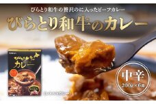 びらとり和牛カレー中辛200g×６箱 ふるさと納税 人気 おすすめ ランキング びらとり和牛 平取和牛 和牛 カレー 中辛 北海道 平取町 送料無料 BRTH019