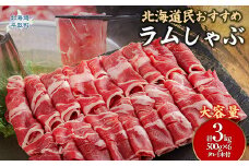 【たっぷり!!】北海道民おすすめ『ラムしゃぶ』500g×6パックタレ590ｇ×1本 ふるさと納税 人気 おすすめ ランキング 羊 ラム 肉 しゃぶしゃぶ おいしい 北海道 平取町 送料無料 BRTI008