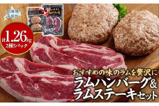 北海道民おすすめの味のラムを贅沢にラムハンバーグとラムステーキに！！ ふるさと納税 人気 おすすめ ランキング 羊 ラム 肉 ステーキ ハンバーグ おいしい 北海道 平取町 送料無料 BRTI011