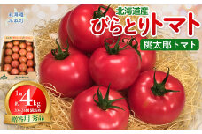 【贈答用】びらとりトマト（桃太郎トマト）秀品 1箱 約4kg（20～24個 満詰め）【 ふるさと納税 人気 おすすめ ランキング トマト とまと 桃太郎 びらとりトマト 秀品 4kg 野菜 ギフト 贈答 贈答用 贈り物 プレゼント 北海道 平取町 送料無料 】 BRTO001