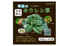 【先行予約/12月中旬以降発送】【北海道平取町産】寒締めホウレン草（ちぢみほうれん草）200g×10袋 【 ふるさと納税 人気 おすすめ ランキング ほうれん草 ちぢみほうれん草 ホウレン草 寒締め 野菜 産地直送 北海道産 北海道 平取町 送料無料 】 BRTO003