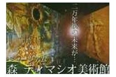 太陽の森ディマシオ美術館　入館招待券(往復ハイヤー付)
