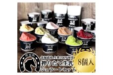 生乳の極みプレミアムジェラートセット A （8個入り）