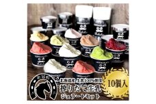 新冠生乳　旬の味覚プレミアムジェラートセットC （10個入り）