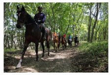 にいかっぷホロシリ乗馬クラブ 乗馬１日利用券