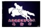 各種お祝いにもお勧め！一点物のオリジナル「大漁旗」です。