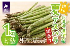 【今が旬！】北海道浦河産 朝採り夏アスパラ(グリーン)1kg[03-145]