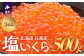 活きたまま水揚げした銀毛鮭の卵を厳選し、塩のみで味付けした最上級の３特品「塩いくら」です。