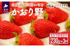 【先行受付開始！】北海道浦河産いちご「かおり野」230g×3P[13-113]
