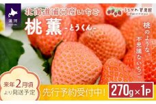 【先行受付開始！】北海道浦河産いちご「桃薫」270g×1P[13-279]