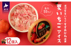 果肉55%「夏いちごアイス(12個)」[22-237]