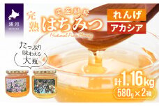 国産純粋完熟はちみつ大瓶セット(れんげ・アカシア)580g×2本[16-537]