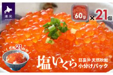 【サーモンフィレー付】北海道日高産 塩いくら小分けパック(60g×21)[15-544]