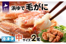 ＜冷凍＞漁協の浜ゆで毛がに 中サイズ2尾セット[02-771]