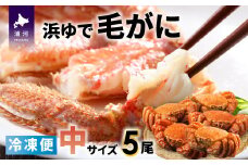 ＜冷凍＞漁協の浜ゆで毛がに 中サイズ5尾セット[02-773]