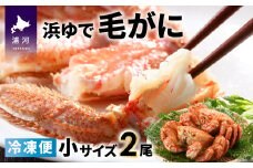 ＜冷凍＞漁協の浜ゆで毛がに 小サイズ２尾セット [02-784]