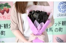 昆布の花束 浦河喜コンブーケ(ミニ)50cmx10本[23-555]