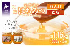 国産純粋完熟はちみつ大瓶セット(れんげ・とち)580g×2本[16-832]