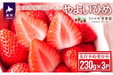 【先行受付開始！】北海道浦河産いちご「やよいひめ」230g×3P[13-883]