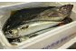 旬の魚介をお届けします！(写真はR3年9月発送分の内容となります。)