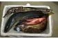 旬の魚介をお届けします！(写真はR3年10月発送分の内容となります。)