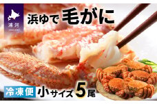 ＜冷凍＞漁協の浜ゆで毛がに 小サイズ５尾セット [02-933]