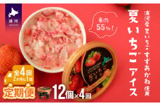 果肉55%「夏いちごアイス(12個)」【全4回定期便】[22-999]