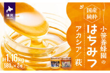 国産純粋完熟はちみつ大瓶セット(アカシア・萩)580g×2本[16-1139]