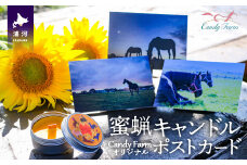 天然蜜蝋100%手作り「キャンドル」＆馬たちの「ポストカード」セット[39-1122]