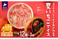 果肉55%「夏いちごアイス(12個)」【全3回定期便】[22-1142]
