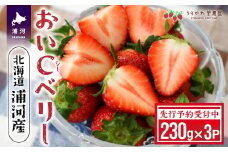 【先行受付開始！】北海道浦河産いちご「おいCベリー」230g×3P[13-1127]