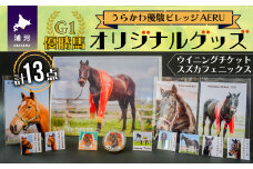 優駿ビレッジAERU G1馬オリジナルグッズ(計13個)[07-1168]