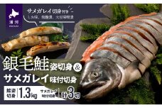 【サメガレイ切身付】銀毛鮭姿切身(グリーンパーチ巻)[01-1257]
