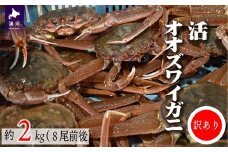 訳あり 活オオズワイガニ約2kg(8尾前後入)[02-1301]