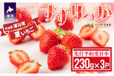 【先行受付開始！】北海道浦河産 夏いちご 「すずりっか」230g×3P[13-1334]