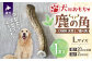 北海道の天然エゾ鹿の角を加工し、犬用のおもちゃに仕上げました。