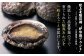 年々漁獲量が減少している希少な「蝦夷あわび(クロアワビ)」