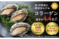 (株)伊勢徳の『蝦夷あわび』は、コラーゲンが通常の4.4倍(※)にもなる、100gあたり320mgも含まれています！