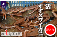 訳あり 活オオズワイガニ約1kg(約4尾入)[02-1409]