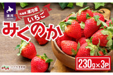 【今が旬！】北海道浦河産いちご「みくのか」230g×3P[13-1430]