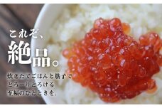 北海道日高産 秋鮭 筋子500g[02-1431]
