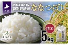 【先行受付開始！】浦河の特別栽培米「ななつぼし」精米(5kg×1袋)[37-1065]
