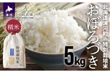 【先行受付開始！】北海道浦河町の特別栽培米「おぼろづき」精米(5kg×1袋)[37-1132]
