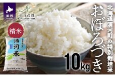 【先行受付開始！】北海道浦河町の特別栽培米「おぼろづき」精米(10kg×1袋)[37-1133]