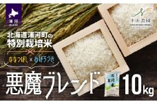 【先行受付開始！】北海道浦河町の特別栽培米「悪魔ブレンド」精米(10kg×1袋)[37-1224]