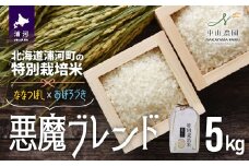 【先行受付開始！】北海道浦河町の特別栽培米「悪魔ブレンド」精米(5kg×1袋)[37-1225]