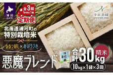 【先行受付開始！】北海道浦河町の特別栽培米「悪魔ブレンド」精米(10kg×1袋)定期便(全3回)[37-1222]