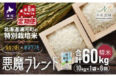【先行受付開始！】北海道浦河町の特別栽培米「悪魔ブレンド」精米(10kg×1袋)定期便(全6回)[37-1223]